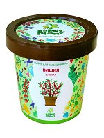 Горшок Вишня дивная набор для выращивания