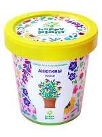 Горшок Анютины глазки набор для выращивания