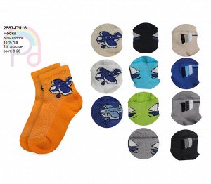 Носки детские для мальчиков микс,размер 8-20 Цвет: ассортиме
