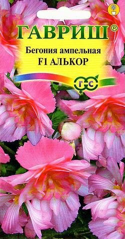 Бегония Алькор F1 клубневая, амп. 4 шт. гранул. пробирка