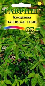 Клещевина Занзибар Грин  5 шт. DH