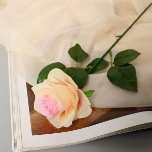 Цветы искусственные "Роза Глория" 9х60 см, кремовый
