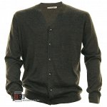 1559, Gray