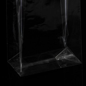 Пакет полипропиленовый фасовочный, прямоугольное дно, прозрачный, 9 х 5 х 23,5 см