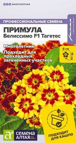 Примула Белиссимо F1 Тагетес 5шт
