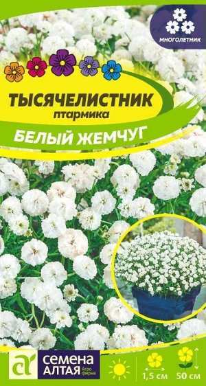 Цветы Тысячелистник Белый жемчуг/Сем Алт/цп 0,1 гр. многолетник