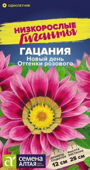 Цветы Гацания Новый день Оттенки розового/Сем Алт/цп 5 шт. Низкорослые гиганты