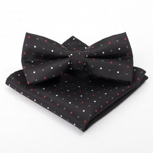 Набор мужской: галстук-бабочка 12х6, платок 21х21, чёрный, п/э