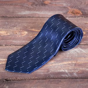 Подарочный набор: галстук и платок "Государственная служба"