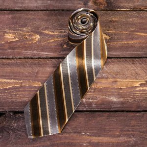Подарочный набор: галстук и ручка "Самому успешному"