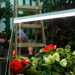 Светильник для растений светодиодный 35 Вт, 1150 мм (SPFR для фотосинтеза)