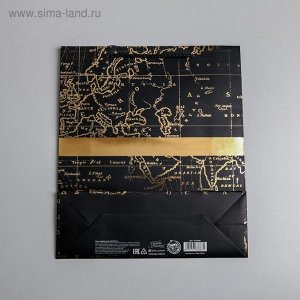 Подарочный  Пакет ламинированный вертикальный Gold present, M 26 × 30 × 9 см   4733867