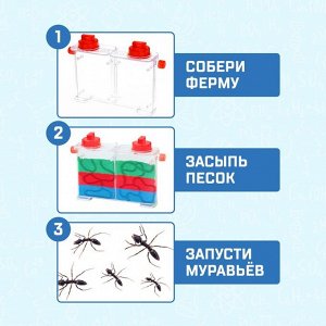 Набор для опытов «Муравьиная ферма»