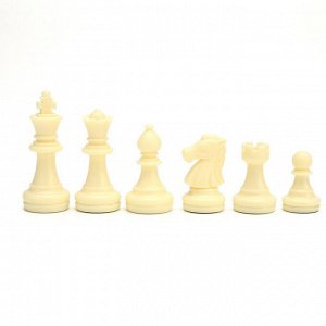 Шахматы с шашками и нардами «Классика», 3 в 1, магнитная доска 25x25 см