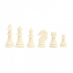 Магнитные шахматы «Классика», доска и фигуры из пластика, 24.5x24.5 см