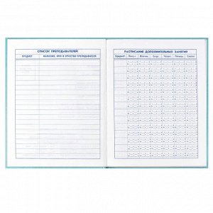 Дневник школьный 5-11 класс, формат А5+, 170х218 мм, 48 листов, твёрдый переплёт, глянцевая ламинация, тиснение фольгой