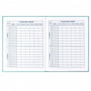 Дневник школьный 5-11 класс, формат А5+, 170х218 мм, 48 листов, твёрдый переплёт, глянцевая ламинация, тиснение фольгой