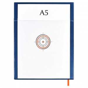 Дневник школьный, А5+, 48л., мягкий переплёт, полноцветная печать