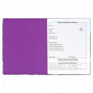 Дневник школьный, А5+, 48л., мягкий переплёт, суперобложка с полноцветной печатью