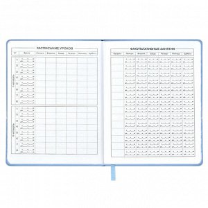 Дневник школьный, А5+, 48л., мягкий переплёт, полноцветная печать