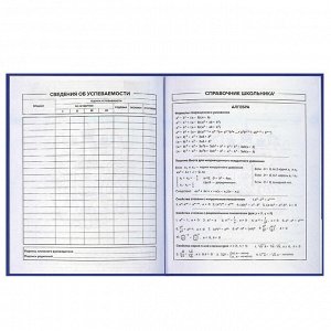 Дневник российского школьника, А5+, 48 л, интегральный переплёт, конгрев, выборочный УФ-лак, матовая ламинация