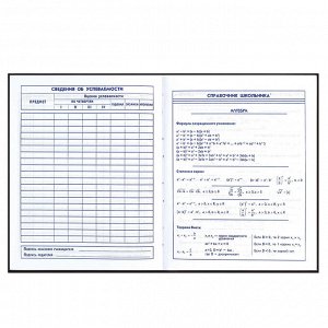 Дневник школьный 5-11 класс, формат А5+, 170х218 мм, 48 листов, твёрдый переплёт, глянцевая ламинация, тиснение фольгой