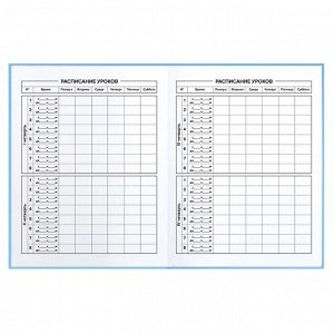 Дневник школьный, формат А5+, 48 л., твёрдый переплёт 7БЦ, отделка обложки: полноцветная печать, глянцевая ламинация, красочность блока: печать в одну краску, красочность форзаца: печать в одну краску