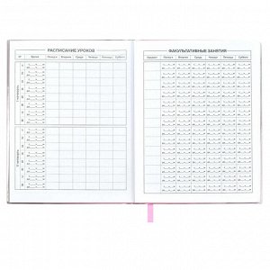 Дневник школьный, А5+, 48 л, мягкий переплёт, аппликация из ПВХ, шелкография в одну краску.