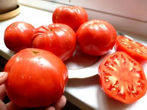 Легендарная Сызранская Розовая Ранняя Помидора
