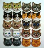 МЕМО КОТЫ