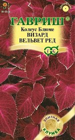 Цветы Колеус Визард Вельвет Ред ЦВ/П (ГАВРИШ) 4шт однолетник 30-35см