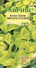 Цветы Колеус Визард Голден ЦВ/П (ГАВРИШ) 4шт однолетник 30-35см