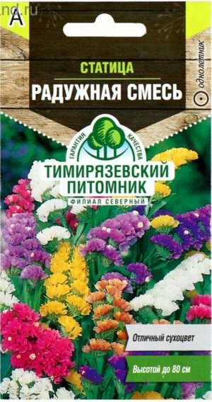 Цветы Статице Радужная Смесь ЦВ/П (Тимиряз) 0,1гр однолетник сухоцвет до 80см