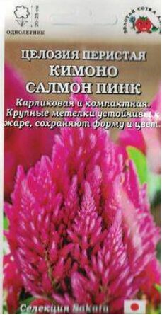 Цветы Целозия перистая Кимоно Салмон Пинк ЦВ/П (СОТКА) 10шт однолетник сухоцвет 25см