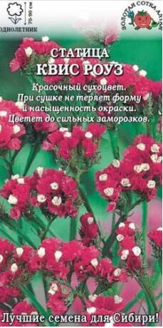 Цветы Статице Квис Роуз ЦВ/П (Сотка) 10шт однолетник сухоцвет до 90см