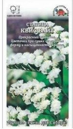 Цветы Статице Квис Вайт ЦВ/П (Сотка) 10шт однолетник сухоцвет до 90см