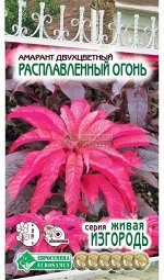 Цветы Амарант Расплавленный огонь ЦВ/П (ЕС) 0,1гр однолетник до 1,2м