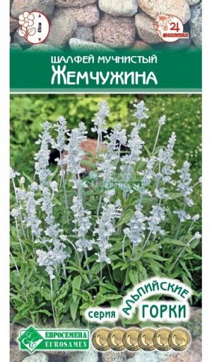 Пряность Шалфей Жемчужина ЦВ/П (ЕС) 10шт многолетник 45см