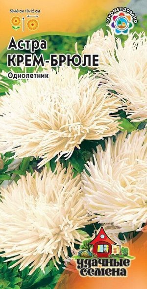 Цветы Астра Крем-брюле ЦВ/П (ГАВРИШ) 0,3гр однолетник 50-60см