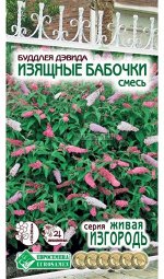 Цветы Буддлея Давида Изящные Бабочки Смесь ЦВ/П (ЕС) 8шт многолетник 1,5-2м