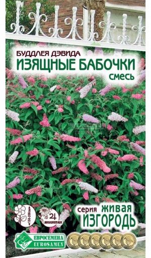 Цветы Будлея Давида Изящные бабочки Смесь ЦВ/П (ЕС) 8шт многолетник 1,5-2м