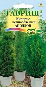 Кипарис Аполлон вечнозелёный ЦВ/П (ГАВРИШ) 0,1гр комнатное до 30см