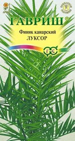 Цветы Финик Канарский Луксор ЦВ/П (ГАВРИШ) 2шт комнатное