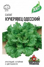 Салат Кучерявец одесский ЦВ/П (ГАВРИШ) 0,5гр позднеспелый полукочанный