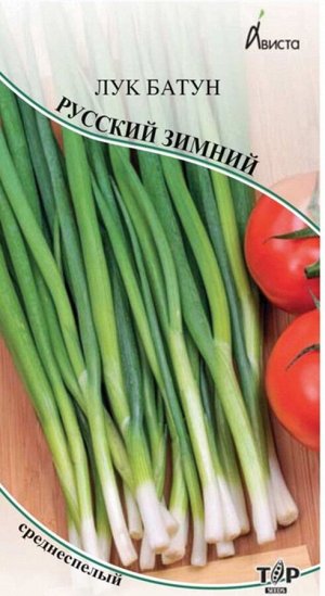 Лук батун Русский зимний ЦВ/П (АВИСТА) 0,5гр многолетний среднеспелый салатный