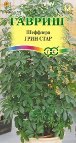 Цветы Шеффлера Грин Стар ЦВ/П (ГАВРИШ) 3шт комнатное 1,5-2,5м