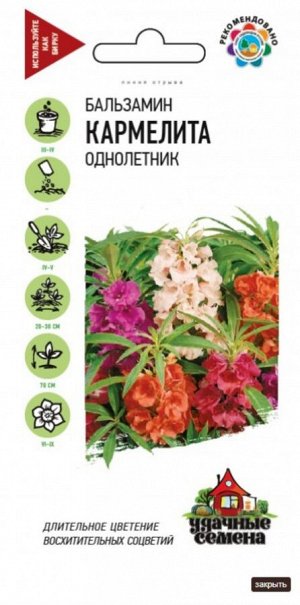 Цветы Бальзамин Кармелита ЦВ/П (ГАВРИШ) 0,2гр смесь однолетник до 70см