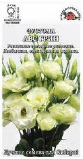 Цветы Эустома АВС Грин ЦВ/П (СОТКА) 5шт комнатное 90см