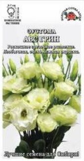 Цветы Эустома АВС Грин ЦВ/П (Сотка) 5шт однолетник 90см