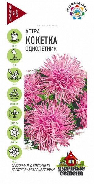 Цветы Астра Кокетка ЦВ/П (ГАВРИШ) 0,3гр однолетник до 75см